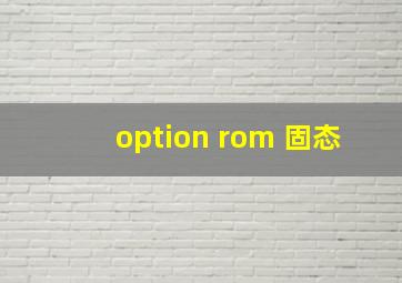 option rom 固态